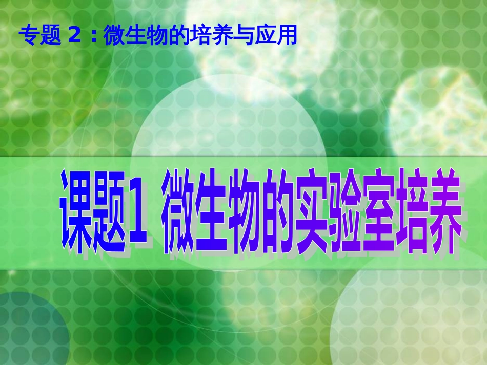 高中生物选修一2.1微生物的实验室培养[78页]_第2页