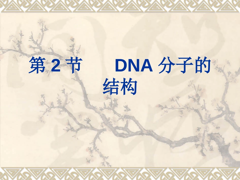 DNA分子的结构ppt[30页]_第3页