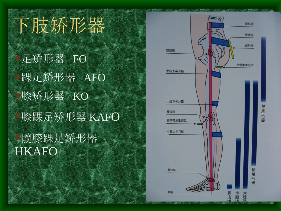 下肢矫形器的种类与应用[64页]_第2页