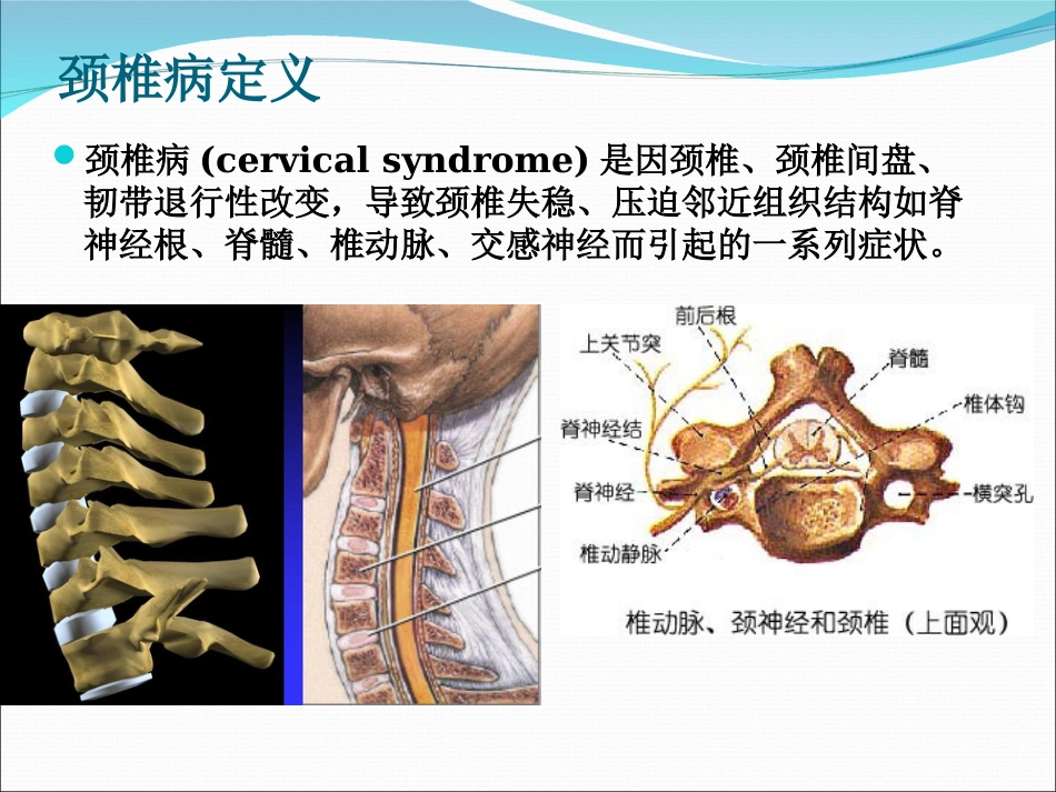 颈椎病的治疗与康复解答_第2页