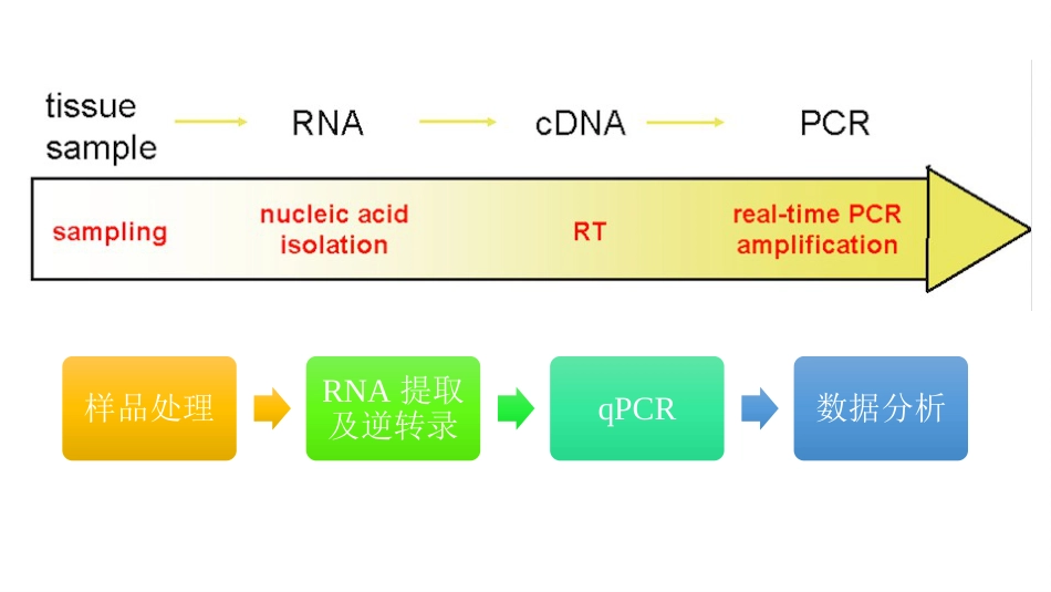 实时荧光定量pcr原理及引物设计[64页]_第3页