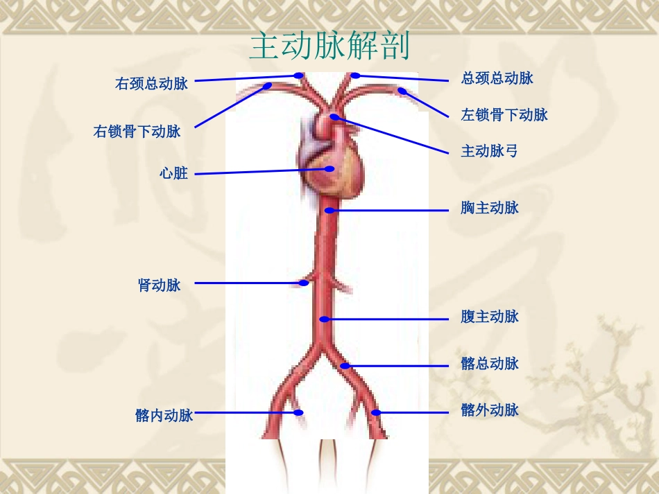 腹主动脉瘤之介入治疗[64页]_第2页