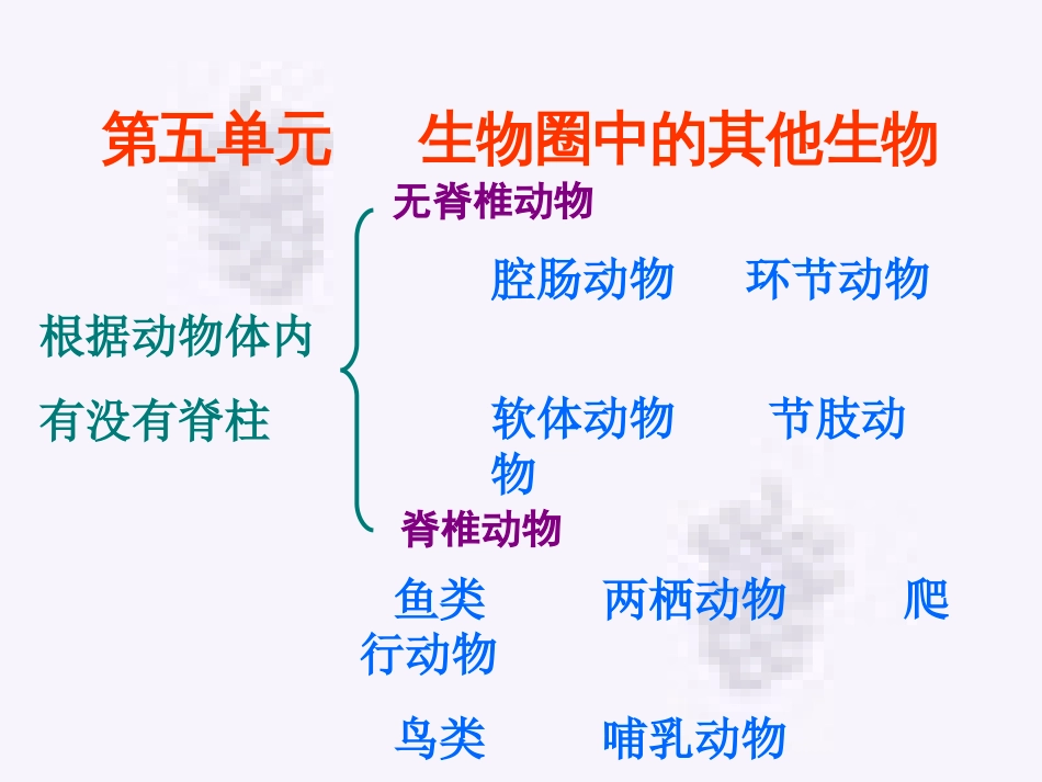 八年级生物上册总复习课件人教版[32页]_第1页