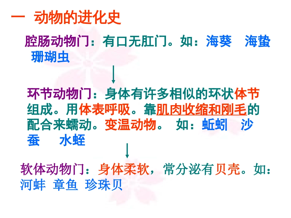 八年级生物上册总复习课件人教版[32页]_第2页