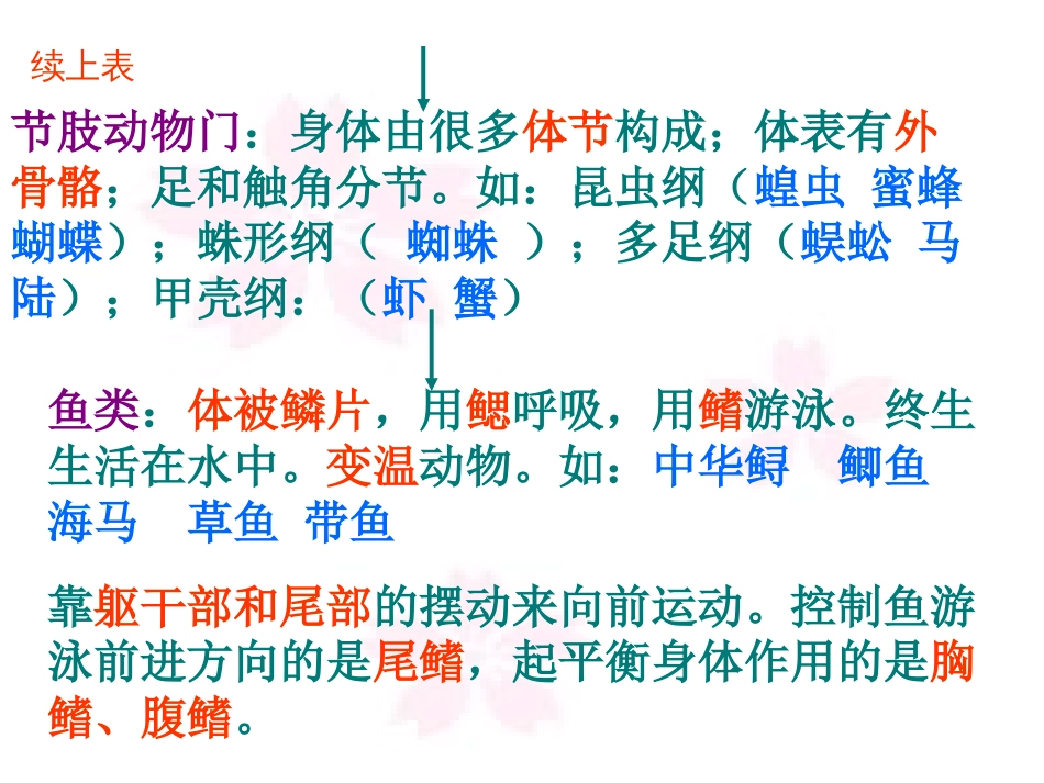 八年级生物上册总复习课件人教版[32页]_第3页