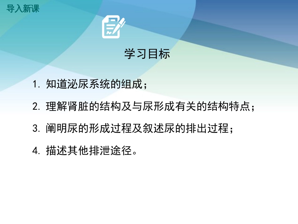 人教版初一生物下册《第五章人体内废物的排出》课件_第3页