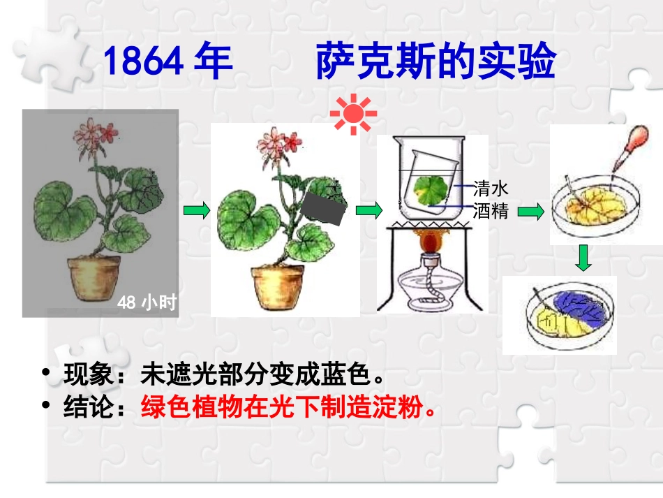 绿色植物在光下制造淀粉48小时_第2页