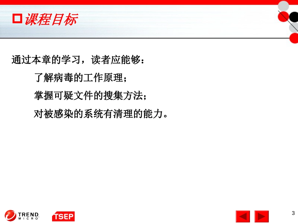 信息安全技术第10章病毒机理分析_第3页