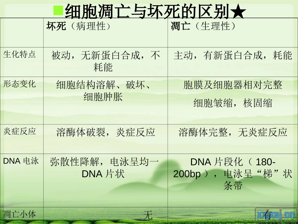 介导细胞凋亡的信号通路[32页]_第3页