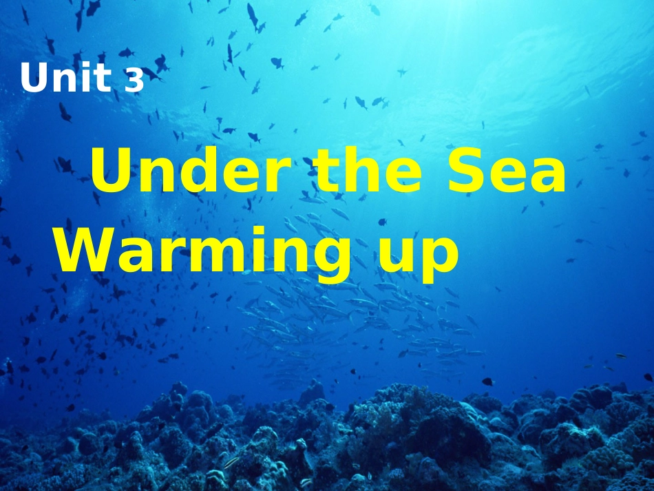 选修7Unit3UndertheseaWarmingup[34页]_第1页