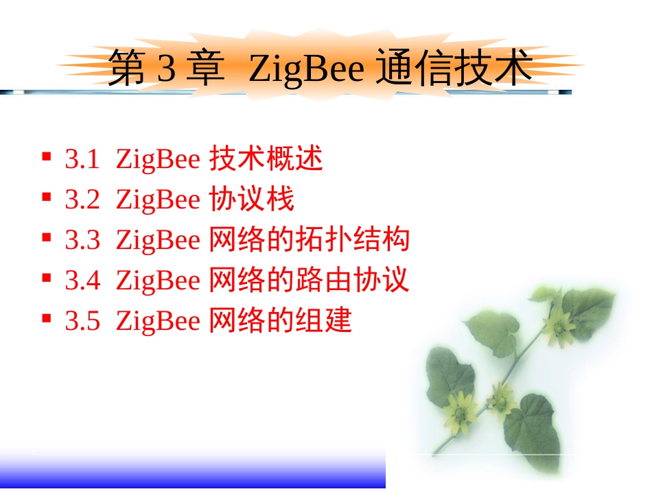 物联网通信技术及应用 (18)物联网通信技术_第2页