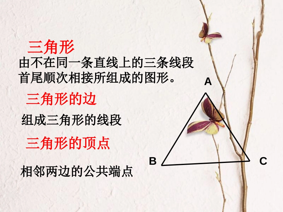 七年级数学下册 13.1 三角形（1）课件 （新版）青岛版(1)_第3页