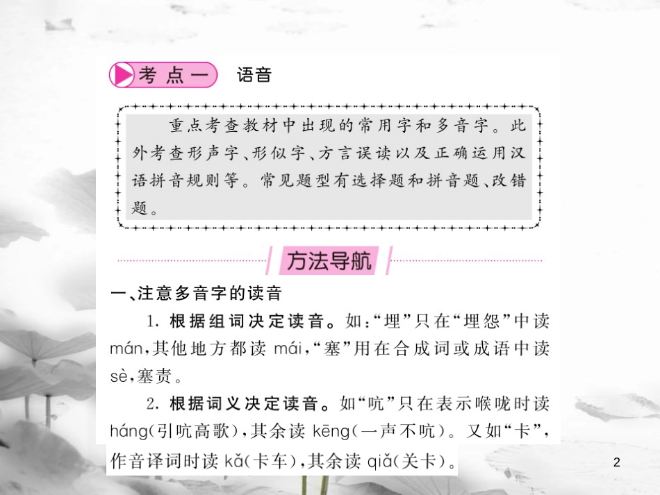 中考语文总复习 第2编 语文知识积累与运用 专题四 语音 汉字与书写课件 语文版(1)_第2页