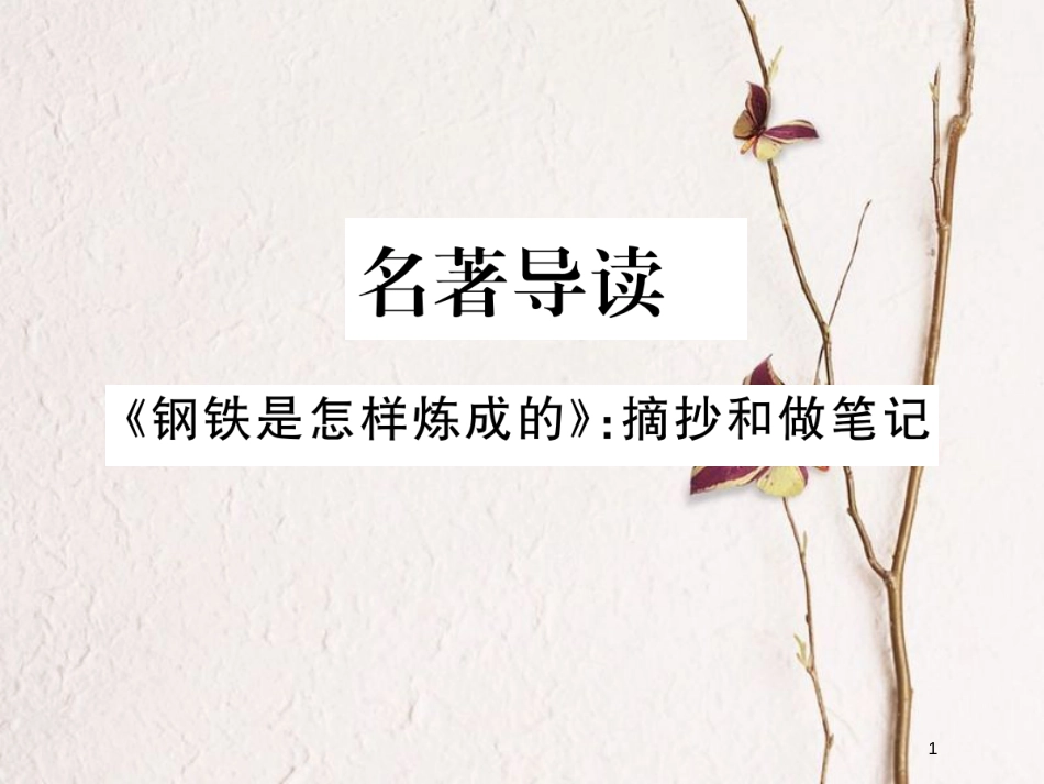 八年级语文下册 第六单元名著导读《钢铁是怎样炼成的》摘抄和做笔记课件 新人教版(1)_第1页