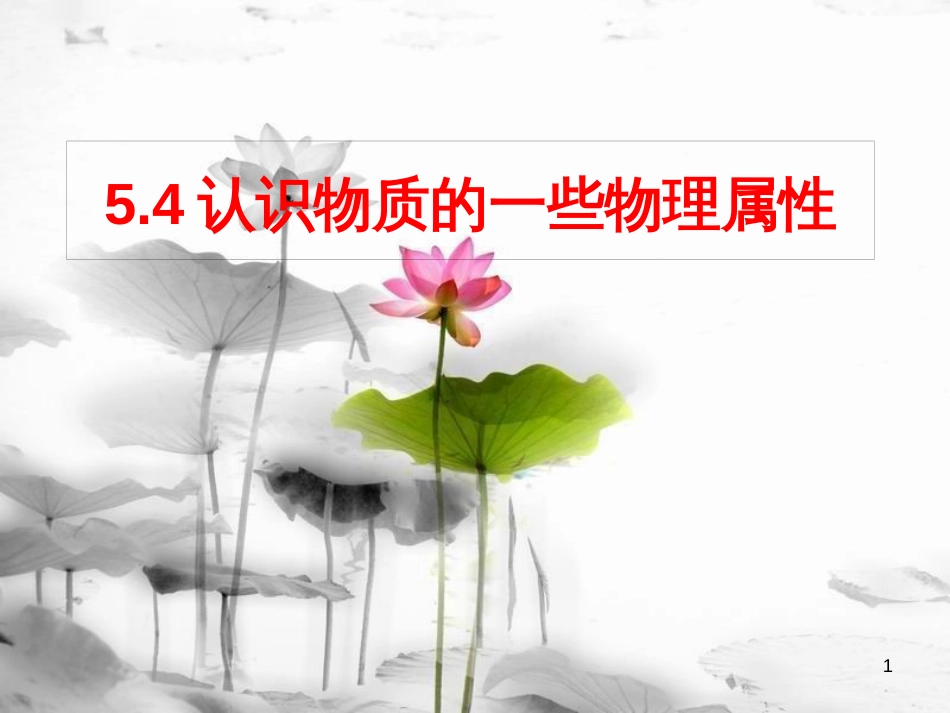 八年级物理上册 5.4 认识物质的一些物理属性课件3 （新版）粤教沪版_第1页