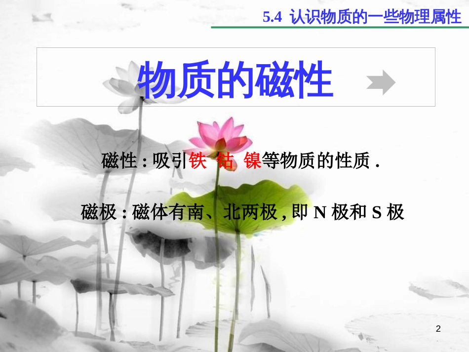 八年级物理上册 5.4 认识物质的一些物理属性课件3 （新版）粤教沪版_第2页