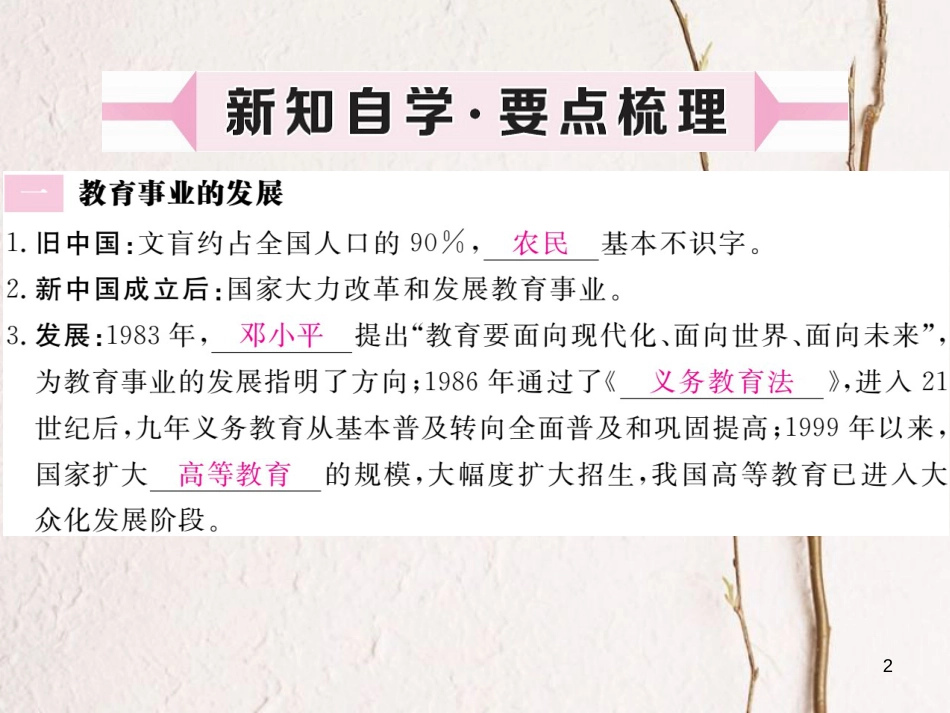 八年级历史下册 第六单元 科技、教育、文化和体育 第18课 教育和文化事业的发展作业课件 川教版_第2页