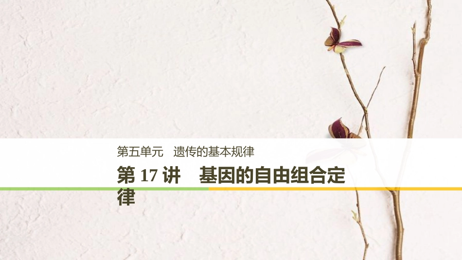 高考生物一轮复习 第5单元 遗传的基本规律 第17讲 基因的自由组合定律课件_第1页