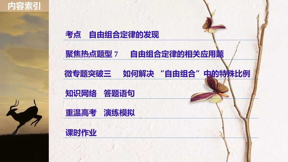 高考生物一轮复习 第5单元 遗传的基本规律 第17讲 基因的自由组合定律课件_第3页