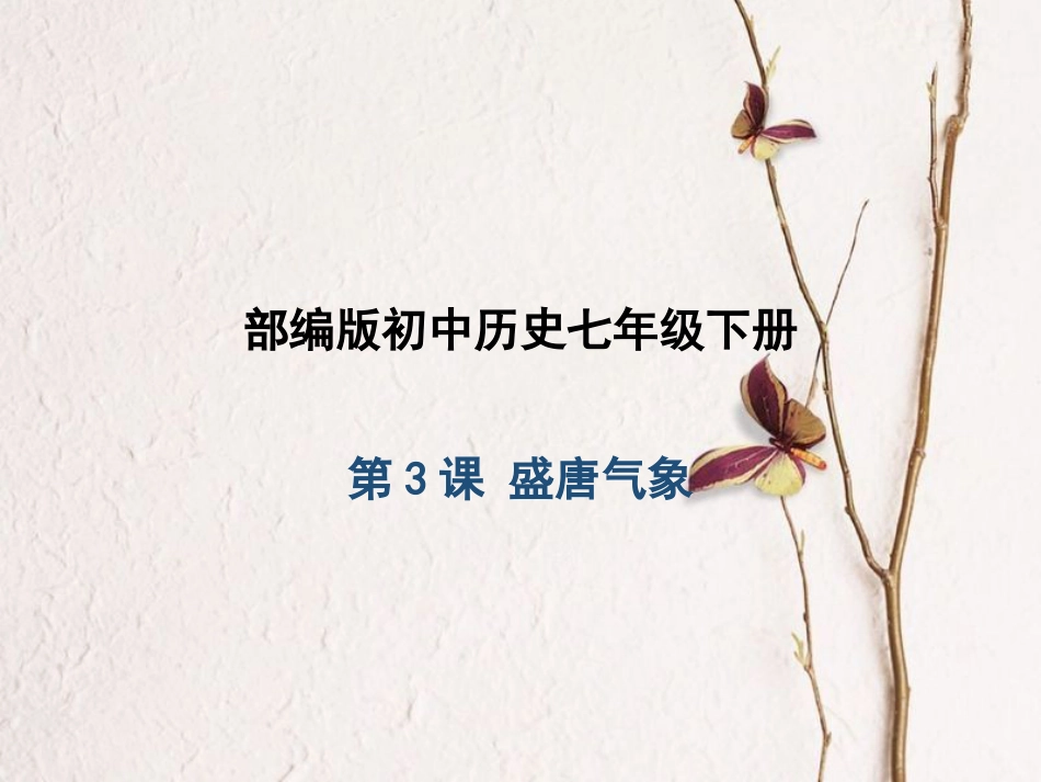 七年级历史下册 第1单元 隋唐时期：繁荣与开放的时代 第3课 盛唐气象课件1 新人教版(1)_第1页