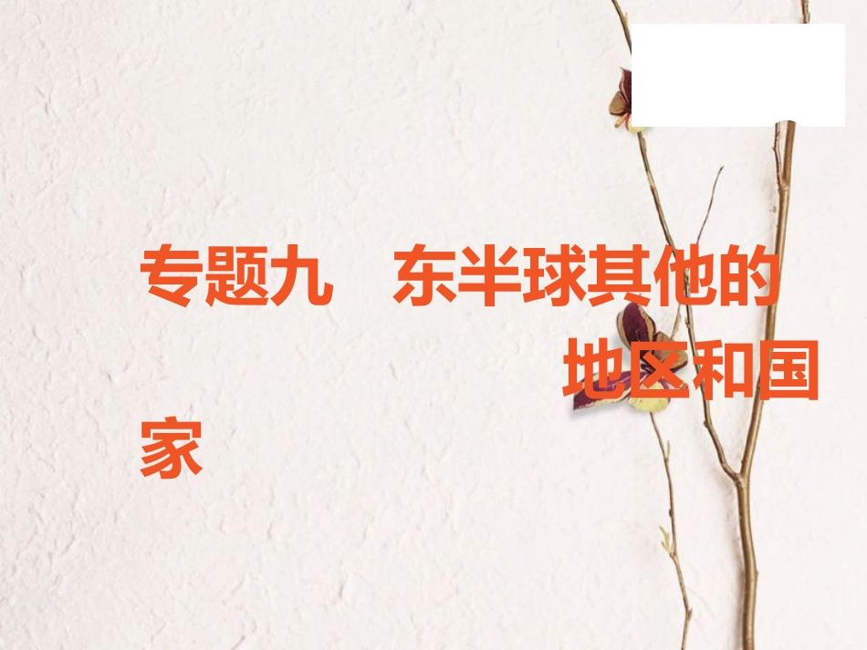 （广东专版）中考地理 中考解读 专题复习九 东半球其他的地区和国家课件_第1页