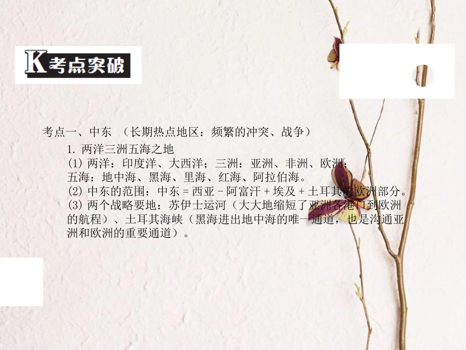 （广东专版）中考地理 中考解读 专题复习九 东半球其他的地区和国家课件_第3页