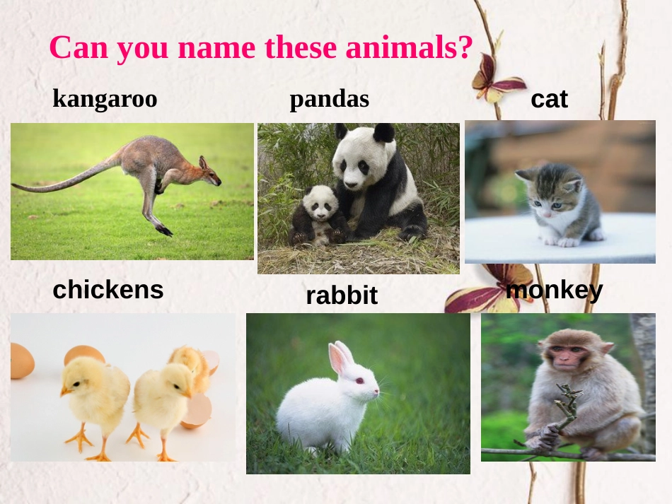 春八年级英语下册 Unit 3 Animals Are Our Friends Lesson 14 Amazing Animals课件2 （新版）冀教版_第2页