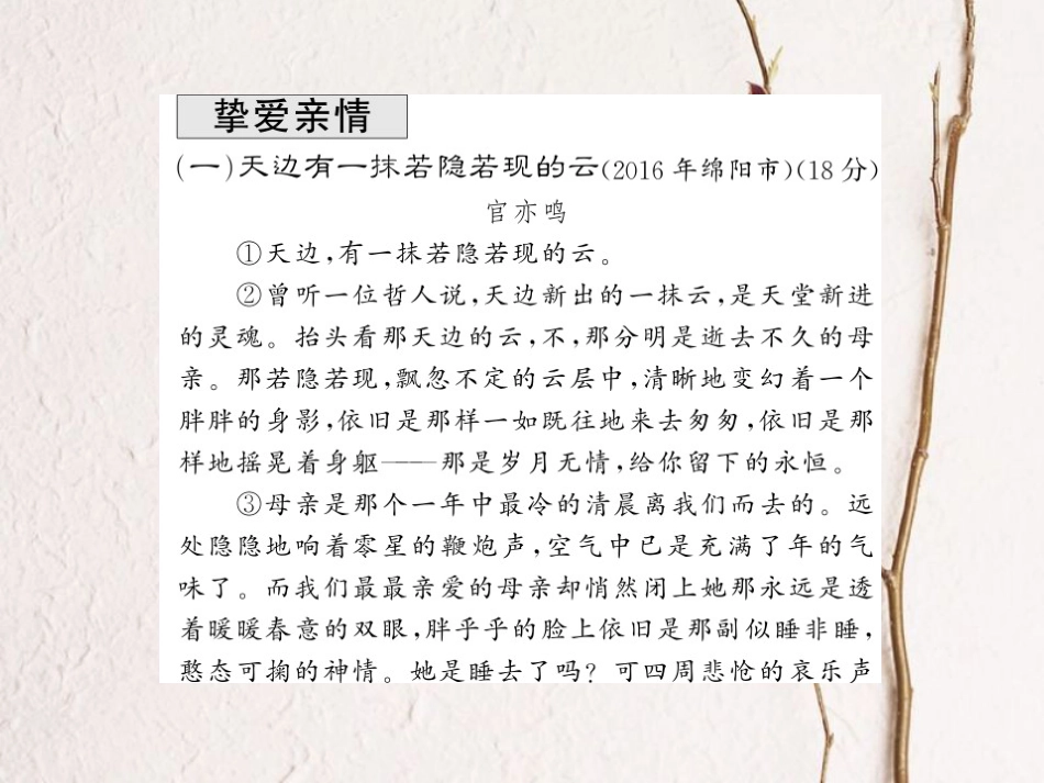 中考语文总复习 第3编 现代文阅读 专题十二 记叙文（散文 小说）阅读 记叙文分类集训课件 语文版_第2页