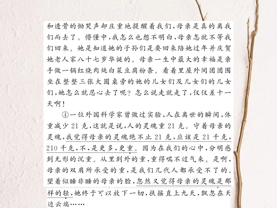中考语文总复习 第3编 现代文阅读 专题十二 记叙文（散文 小说）阅读 记叙文分类集训课件 语文版_第3页