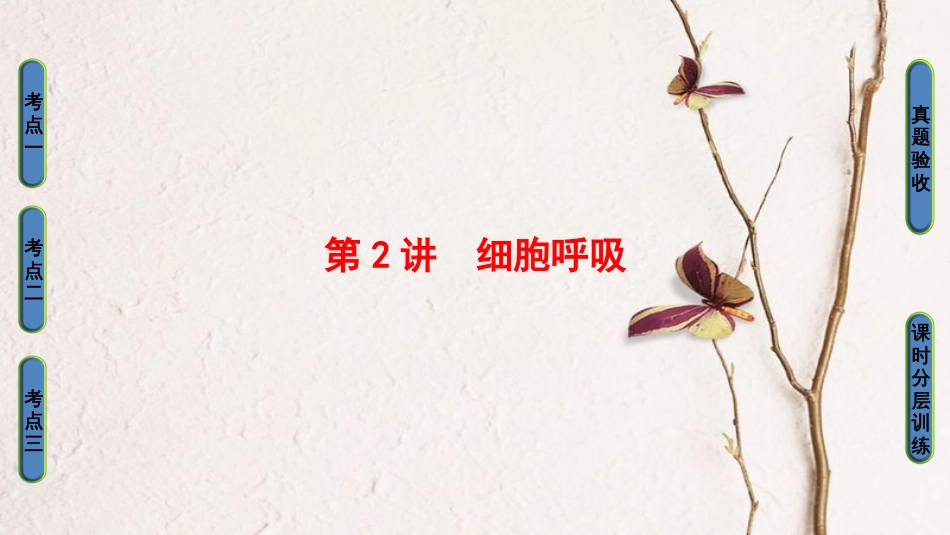 高三生物一轮复习 第3单元 细胞呼吸课件 新人教版必修1_第1页