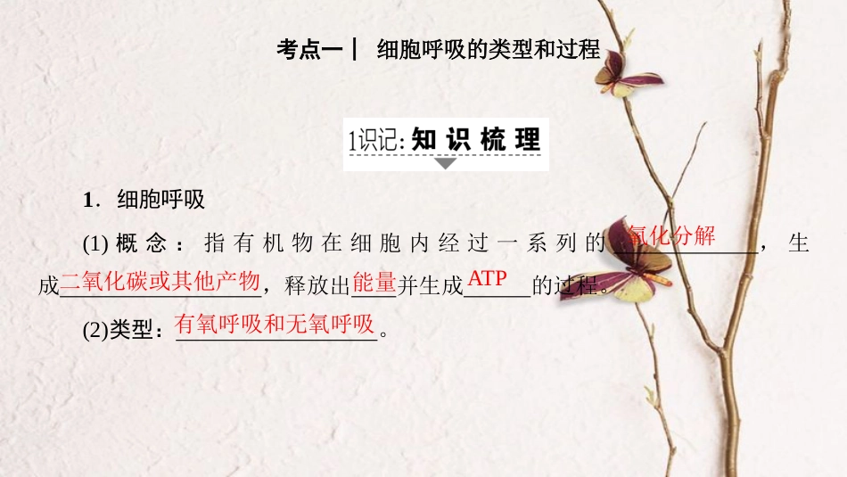 高三生物一轮复习 第3单元 细胞呼吸课件 新人教版必修1_第2页