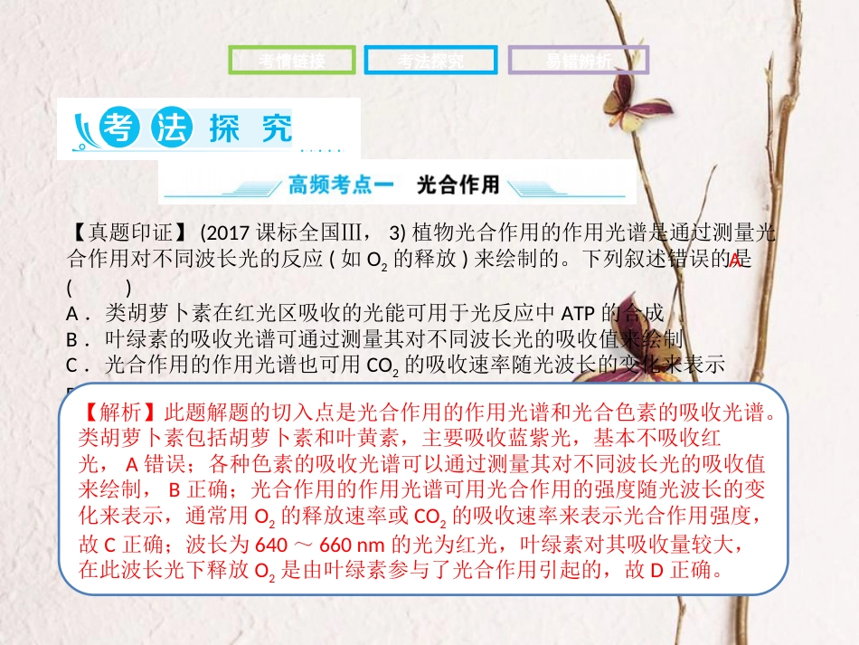 高考生物二轮复习 第二部分 专题三 光合作用和细胞呼吸课件(1)_第3页