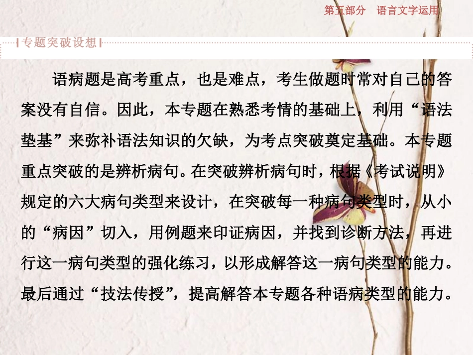 2019高考语文一轮总复习 第五部分 语言文字运用 2 专题二 辨析病句-遣词造句求规范，言差语错应避免课件_第2页