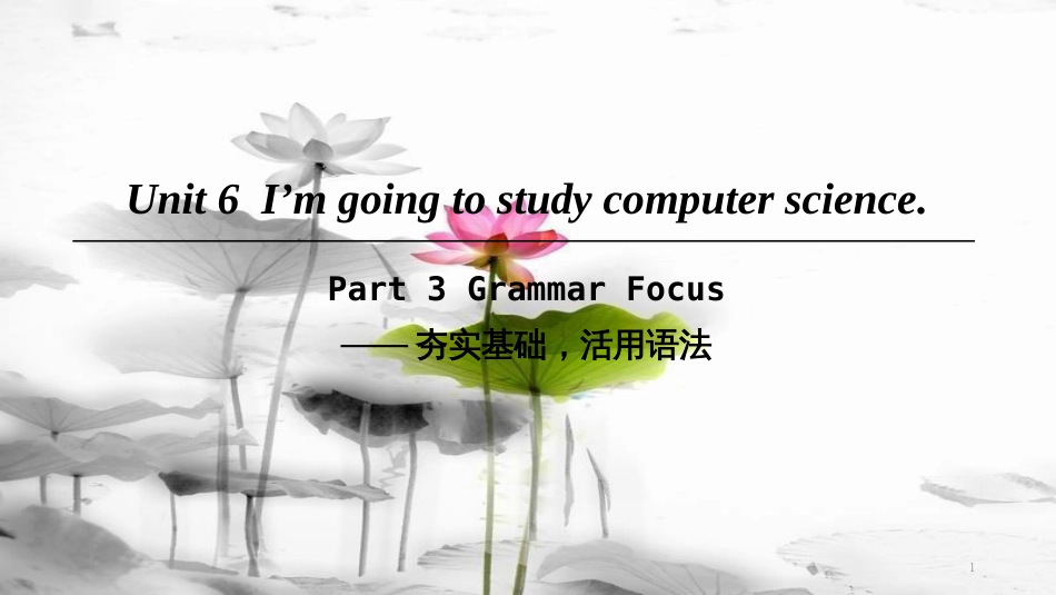 八年级英语上册 Unit 6 I’m going to study computer science Part 3 Grammar Focus课件 （新版）人教新目标版(1)_第1页