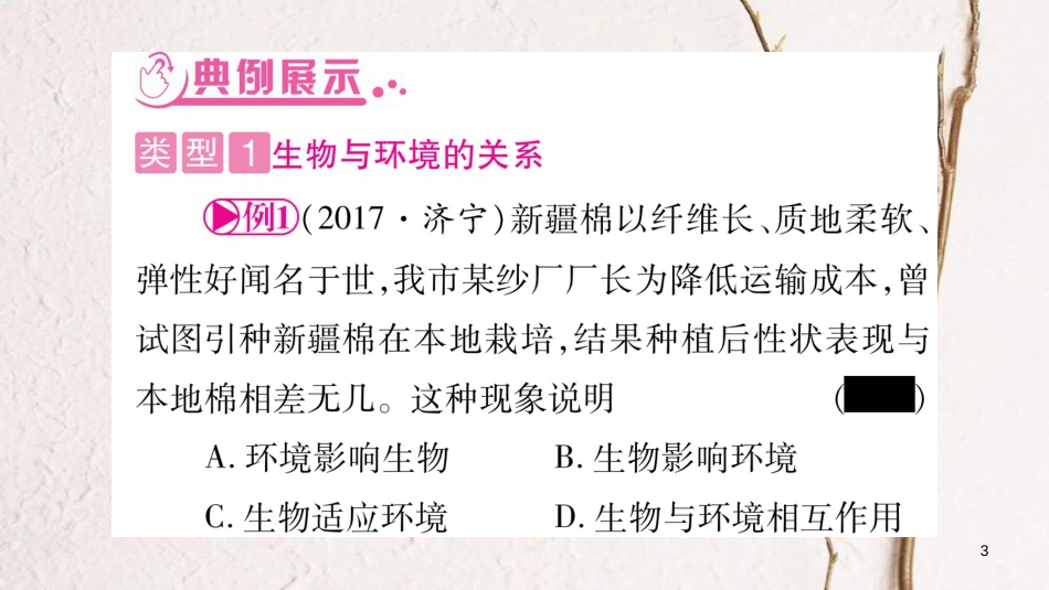 中考生物总复习 知能综合突破 专题2 生物与环境课件_第3页