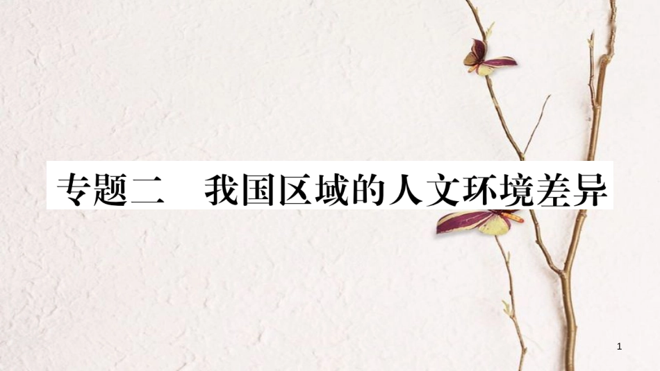 八年级地理下册 专题2 我国区域的人文环境差异课件 （新版）湘教版_第1页