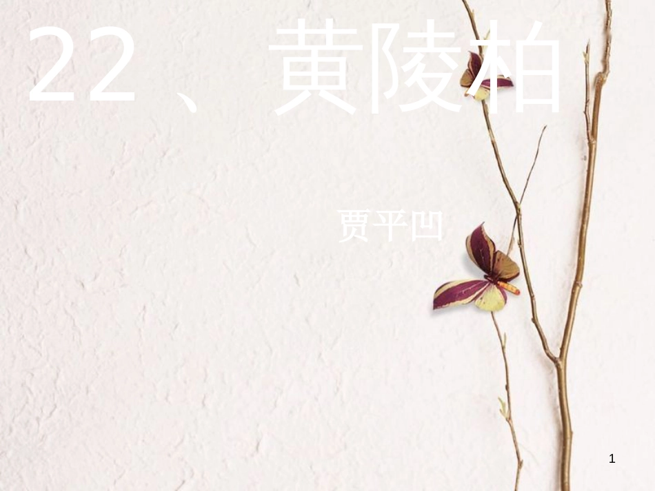 七年级语文下册 第五单元 第18课《黄陵柏》课件1 冀教版(1)_第1页