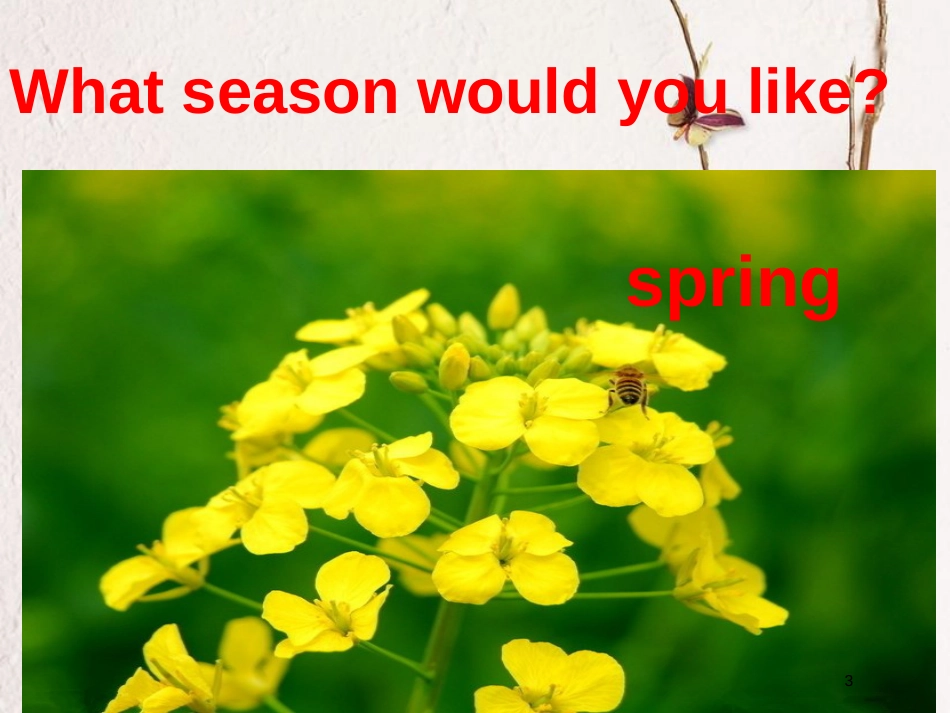 八年级英语下册 Unit 1 Spring Is Coming Lesson 4 The Spring City课件 （新版）冀教版(1)_第3页