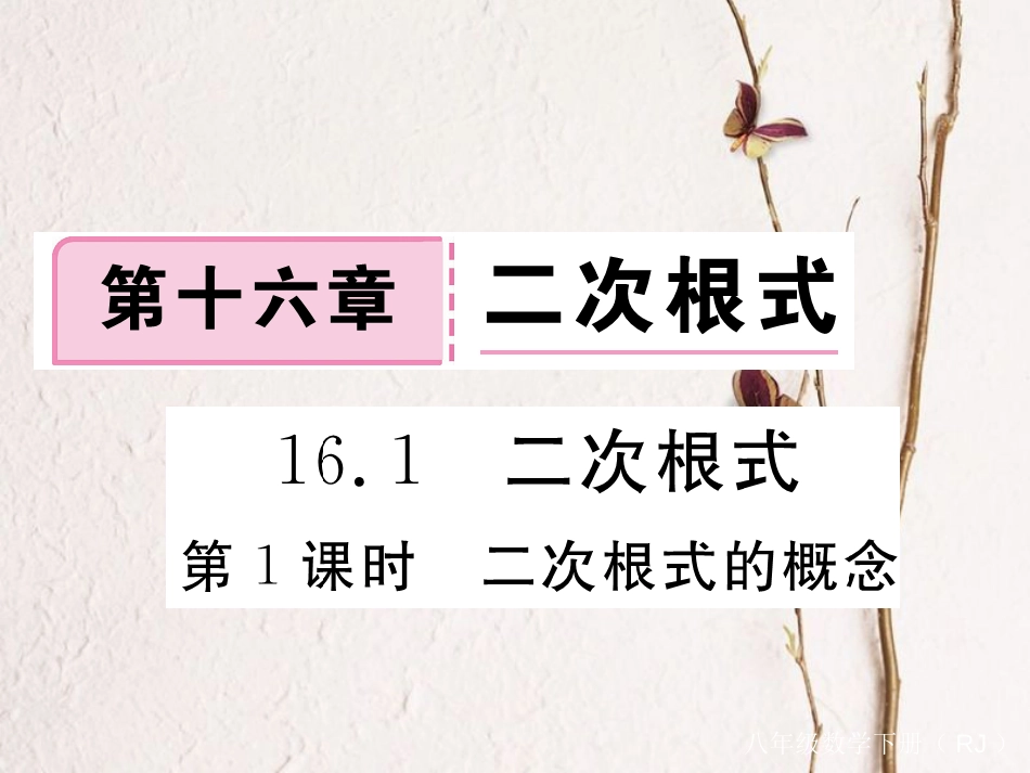 河北省八年级数学下册 16.1 二次根式 第1课时 二次根式的概念练习课件 （新版）新人教版(1)_第1页