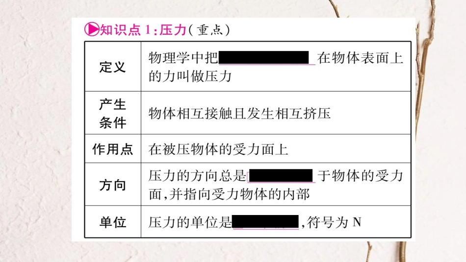 （云南专版）中考物理总复习 第9讲 压强课件(1)_第2页