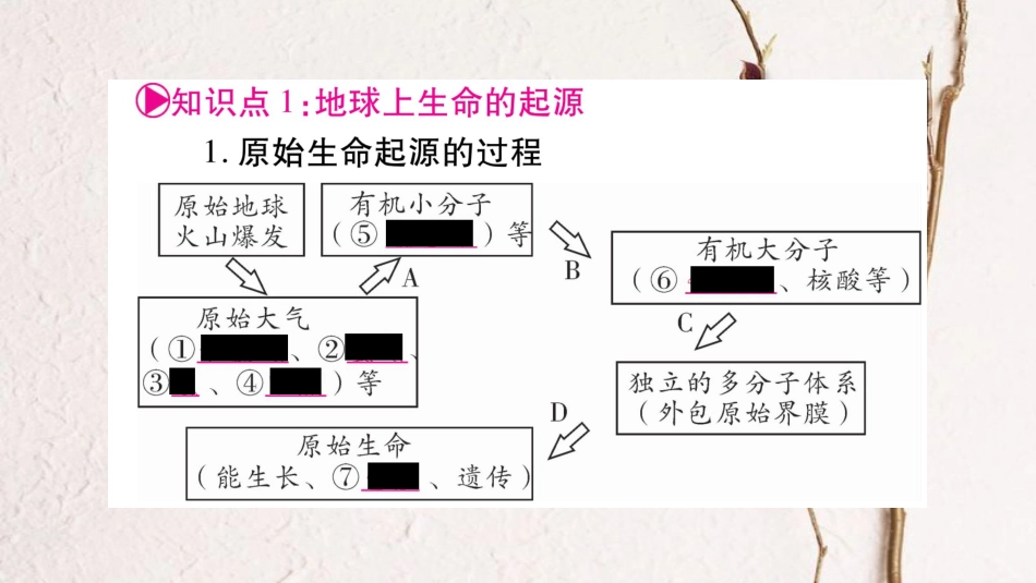 中考生物总复习 教材考点梳理 八下 第7单元 第3章 生命起源和生物进化课件 新人教版(1)_第2页