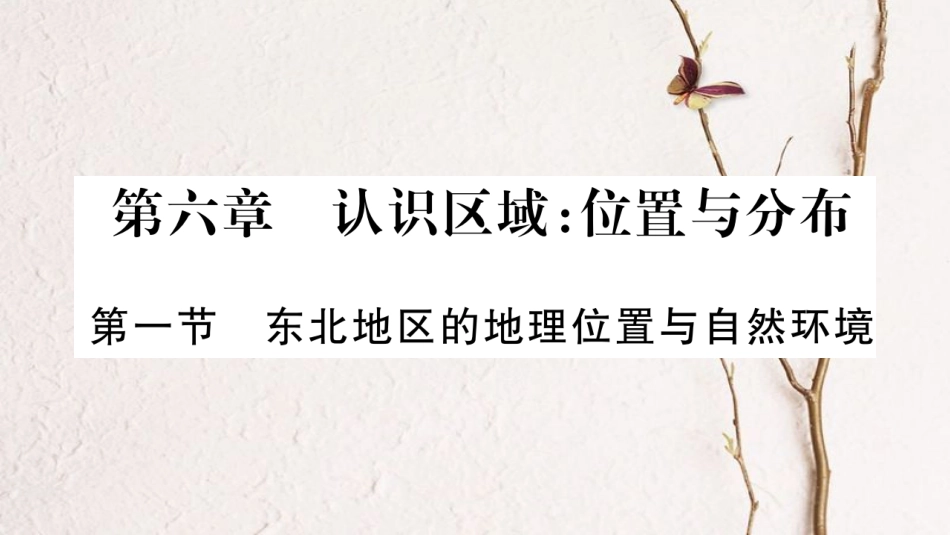 学年八年级地理下册 第六章 认识区域：位置和分布课件 （新版）湘教版(1)_第1页