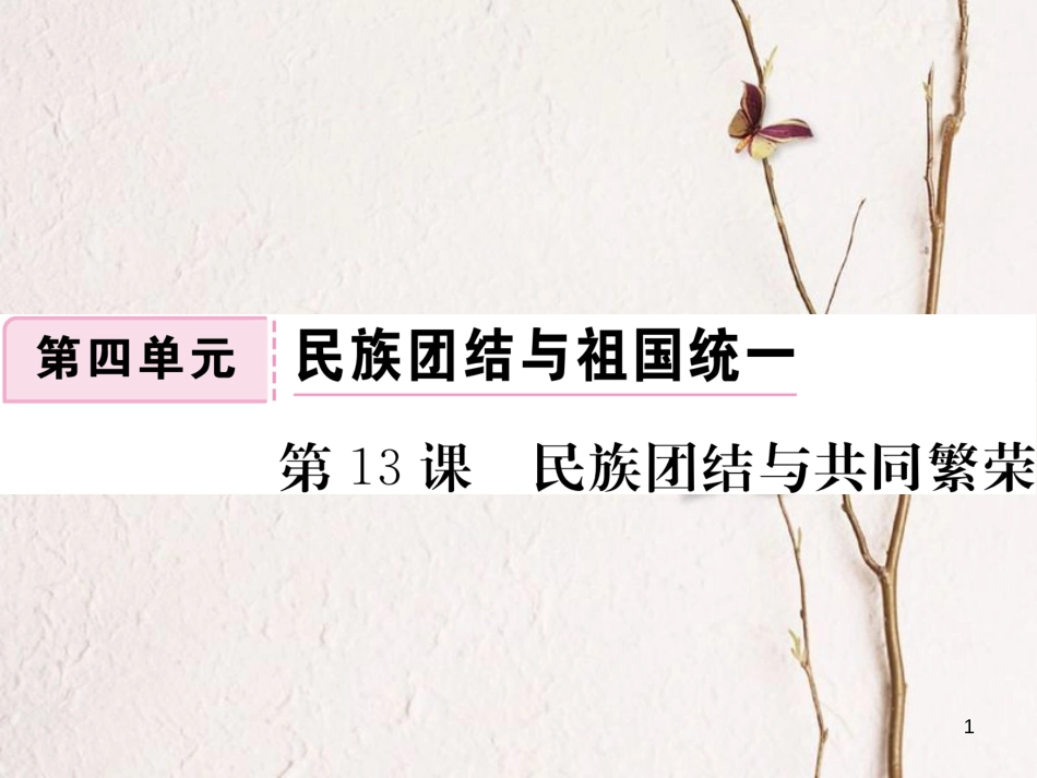 八年级历史下册 第四单元 民族团结与祖国统一 第13课 名族团结与共同繁荣作业课件 川教版_第1页