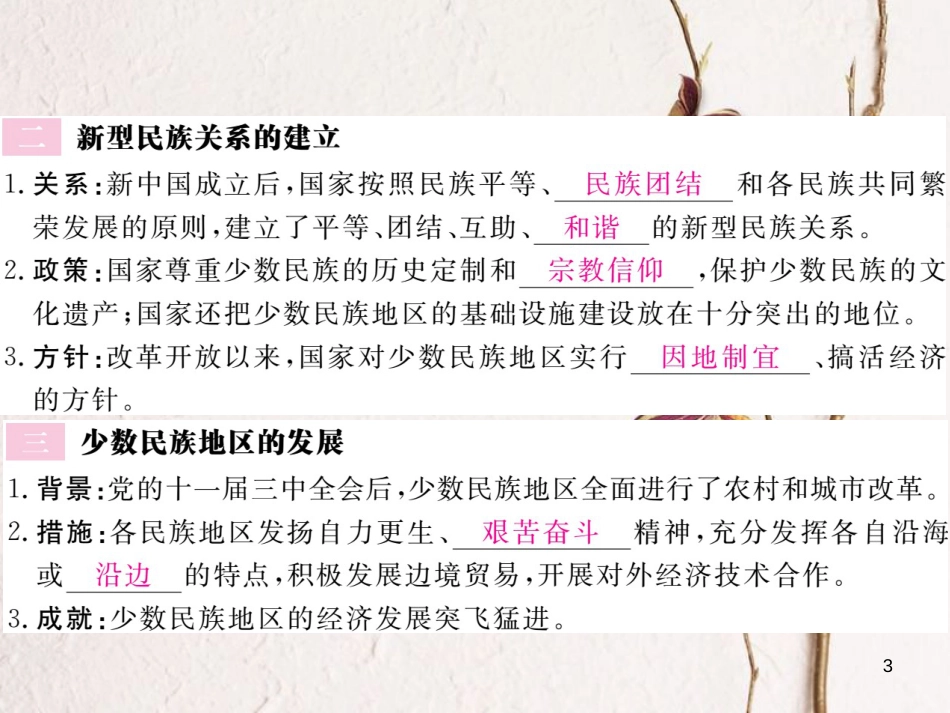 八年级历史下册 第四单元 民族团结与祖国统一 第13课 名族团结与共同繁荣作业课件 川教版_第3页