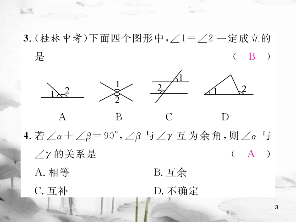 （毕节专版）七年级数学下册 第2章 相交线与平行线重难点突破作业课件 （新版）北师大版(1)_第3页