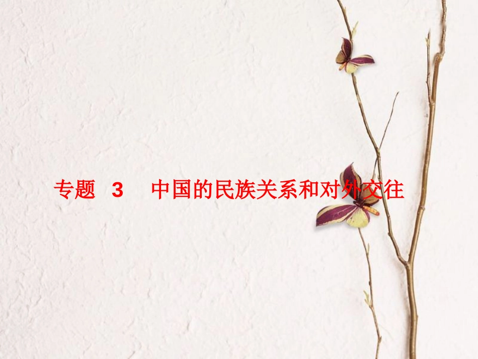 （聊城专版）中考历史复习 专题3 中国的民族关系和对外交往课件(1)_第1页