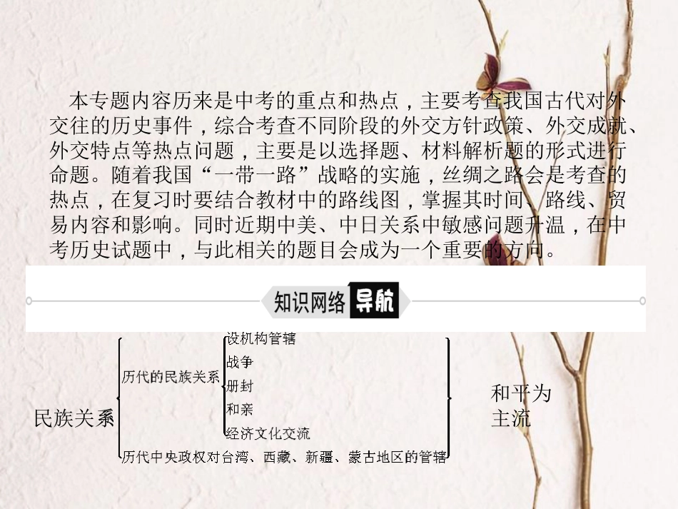 （聊城专版）中考历史复习 专题3 中国的民族关系和对外交往课件(1)_第3页