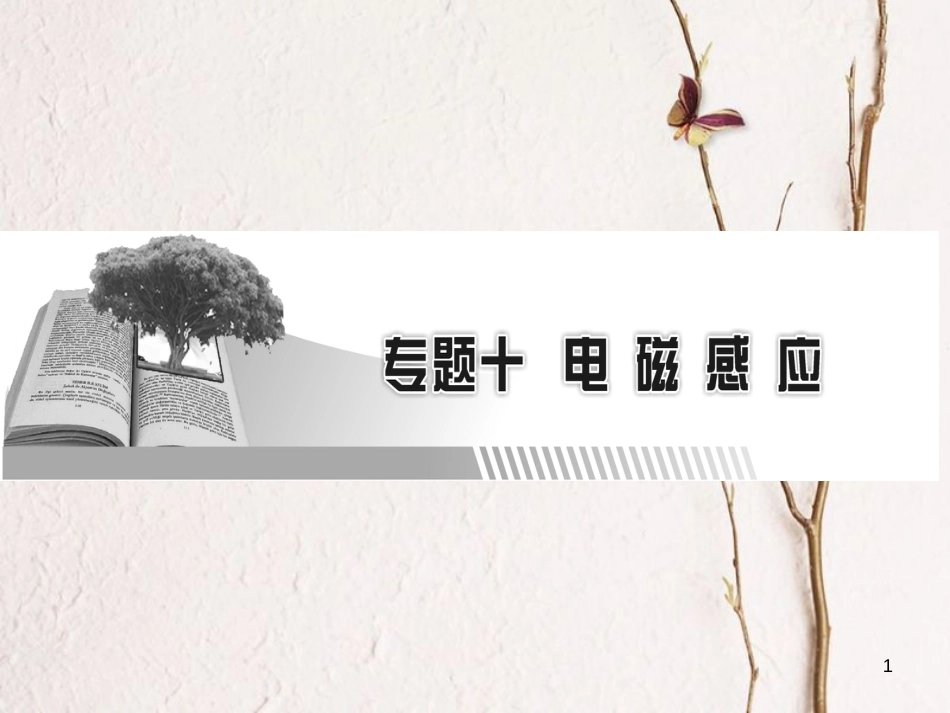 高考物理一轮总复习 专题10 电磁感应 第1讲 电磁感应现象、楞次定律课件(1)_第1页