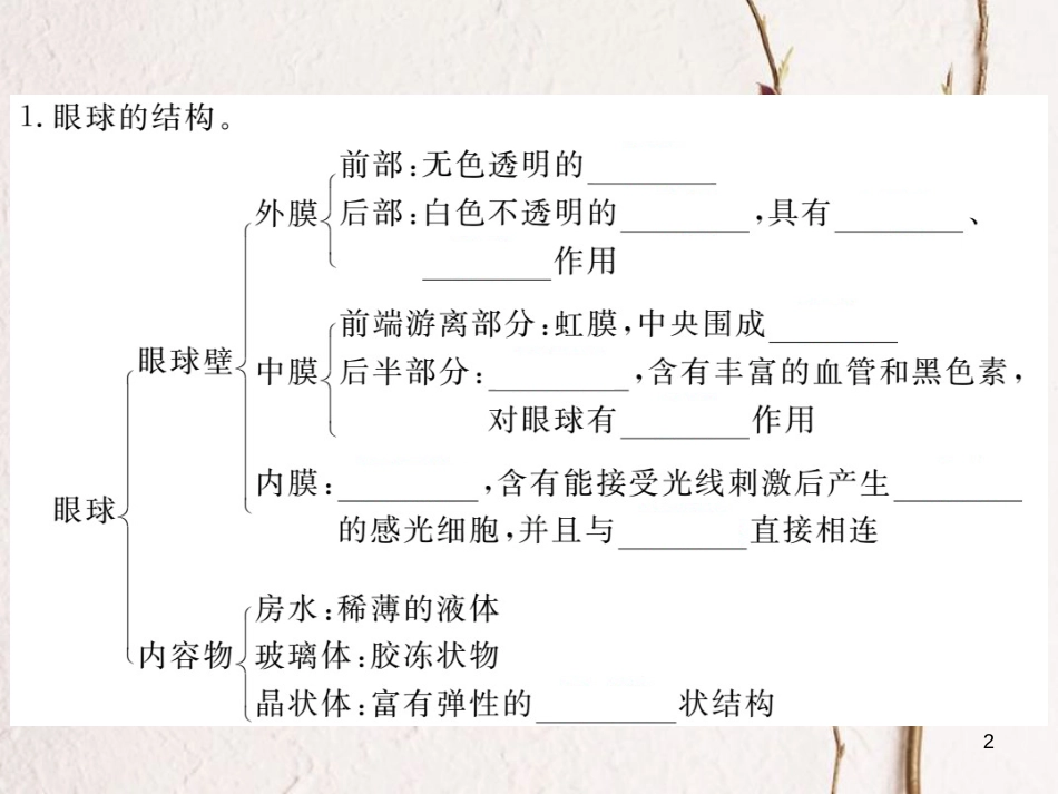 七年级生物下册 第12章 第2节 感受器和感觉器官 第1课时 视觉和视觉器官课件1 （新版）北师大版(1)_第2页
