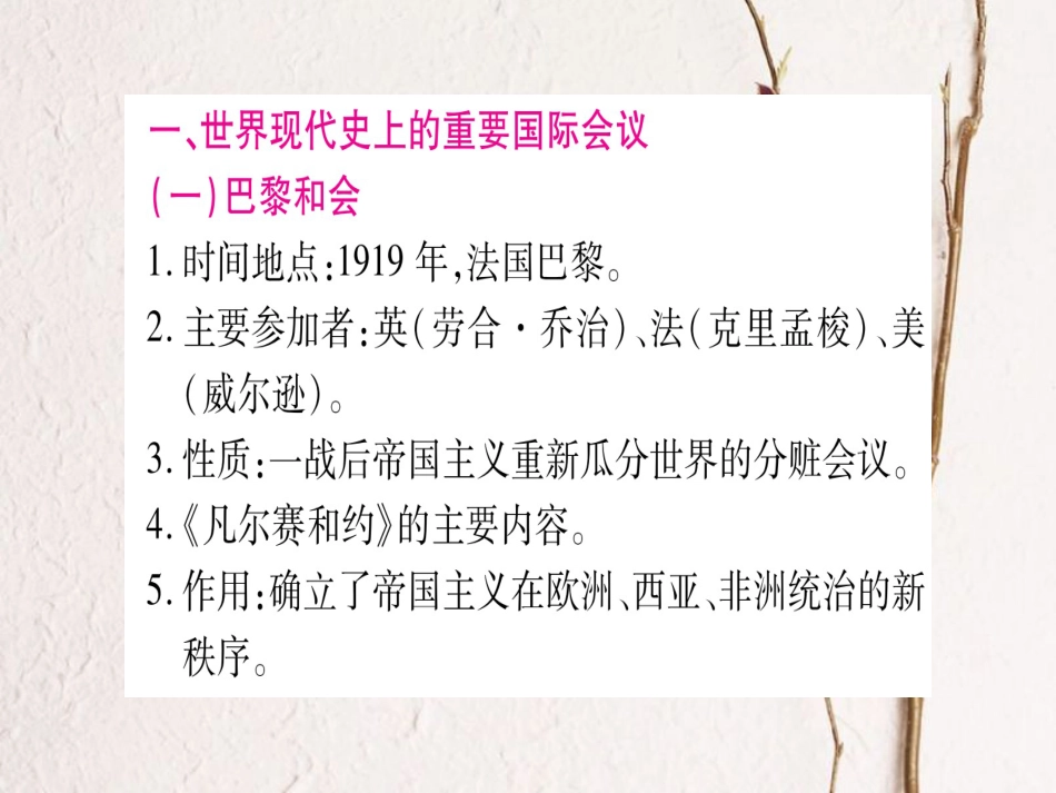 （桂林专用）中考历史总复习 第二篇 知能综合提升 专题三 重要国际会议、重要国际组织课件 岳麓版_第2页